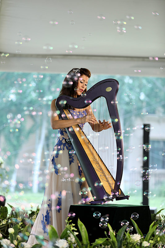 professional singer and Celtic harpist